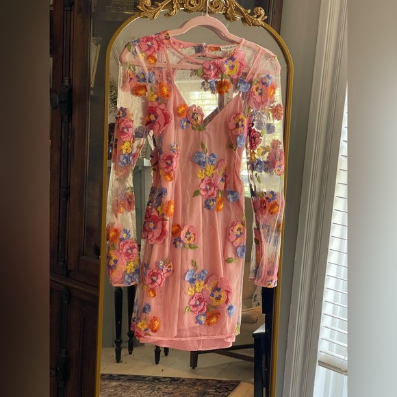For Love And Lemons Dresses & Skirts - For Love & Lemons NWT Pink Percy Mini Sheer Dress with Appliqué Flowers Boho